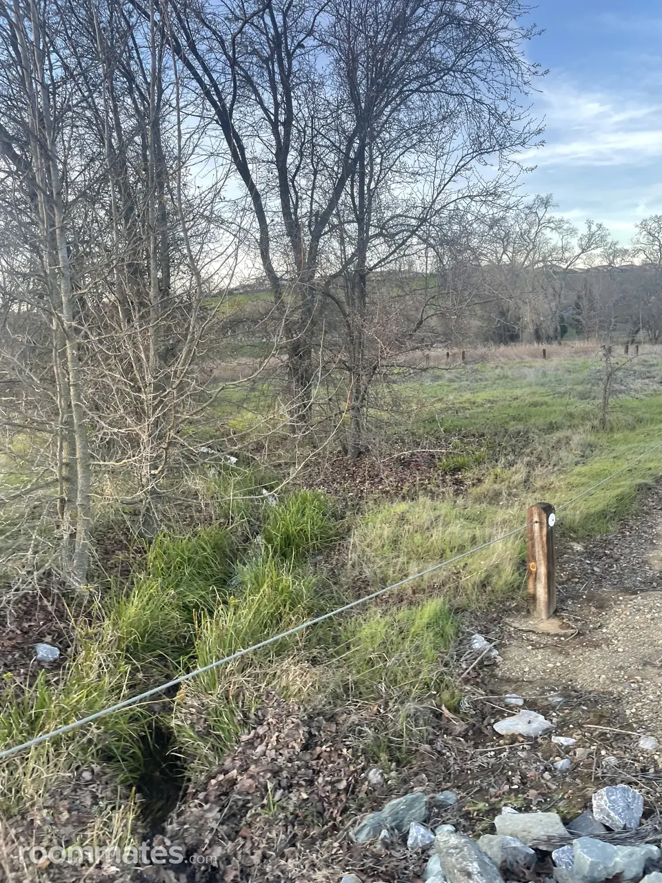 Profile photo 1 of 1