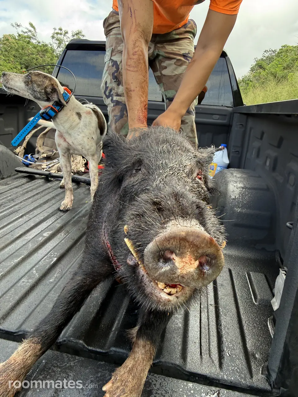 Profile photo 4 of 4