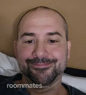 Roommate looking Rochester, MI, $600