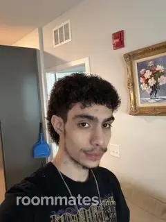 Roommate looking Bradenton, FL, $800