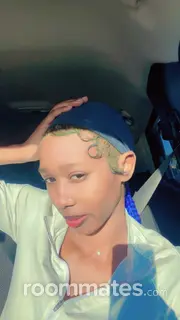 Roommate looking New Orleans Station, LA, $1000