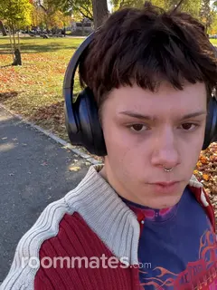 Roommate looking Norwich CT, $1000