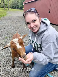 Roommate looking Wallingford, CT, $1100