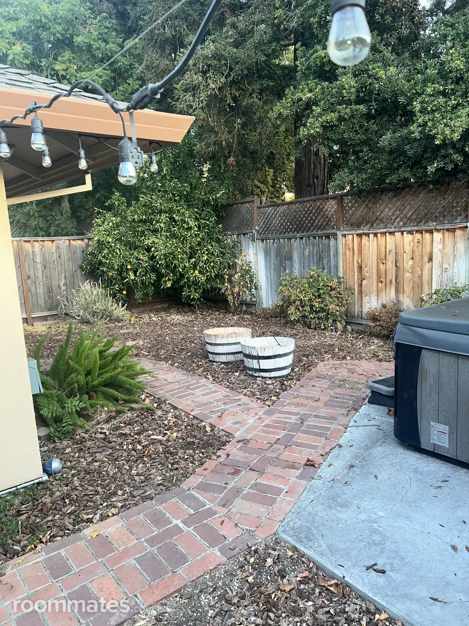 Profile photo 6 of 7