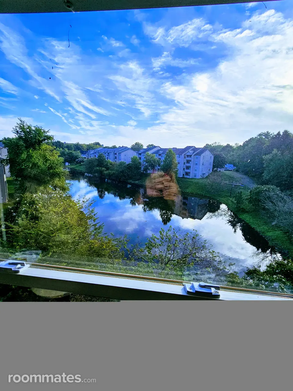 Profile photo 8 of 9