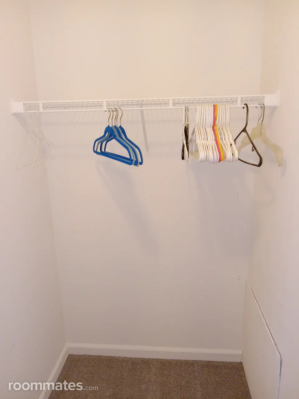 Profile photo 6 of 9