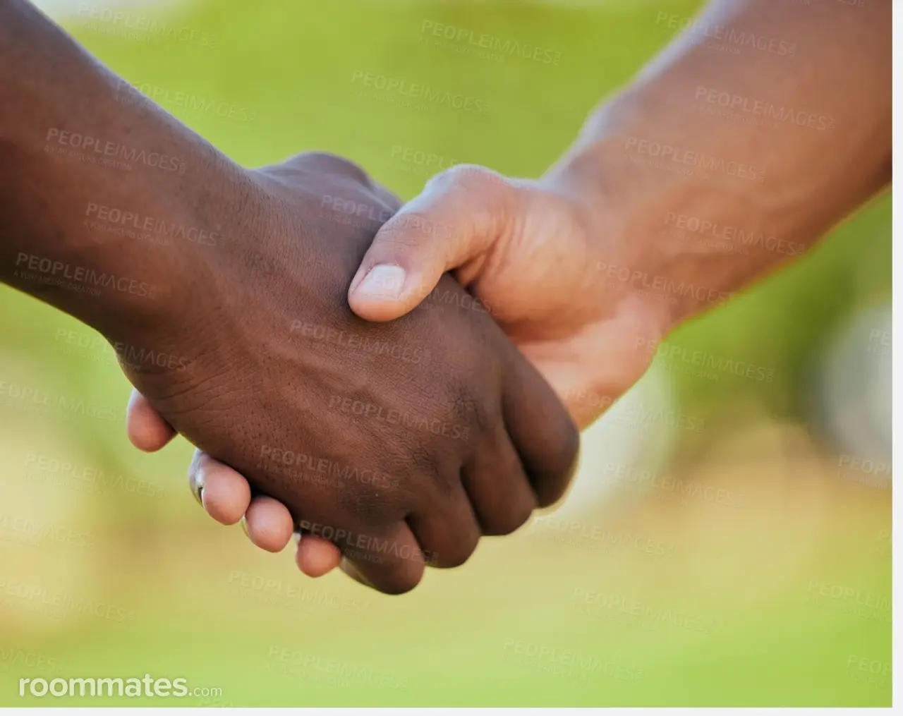 Profile photo 9 of 9