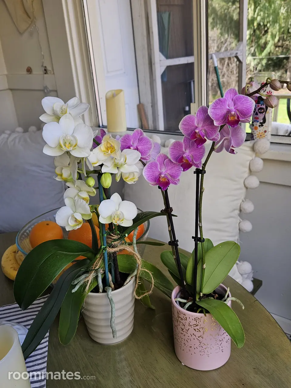 Profile photo 3 of 7