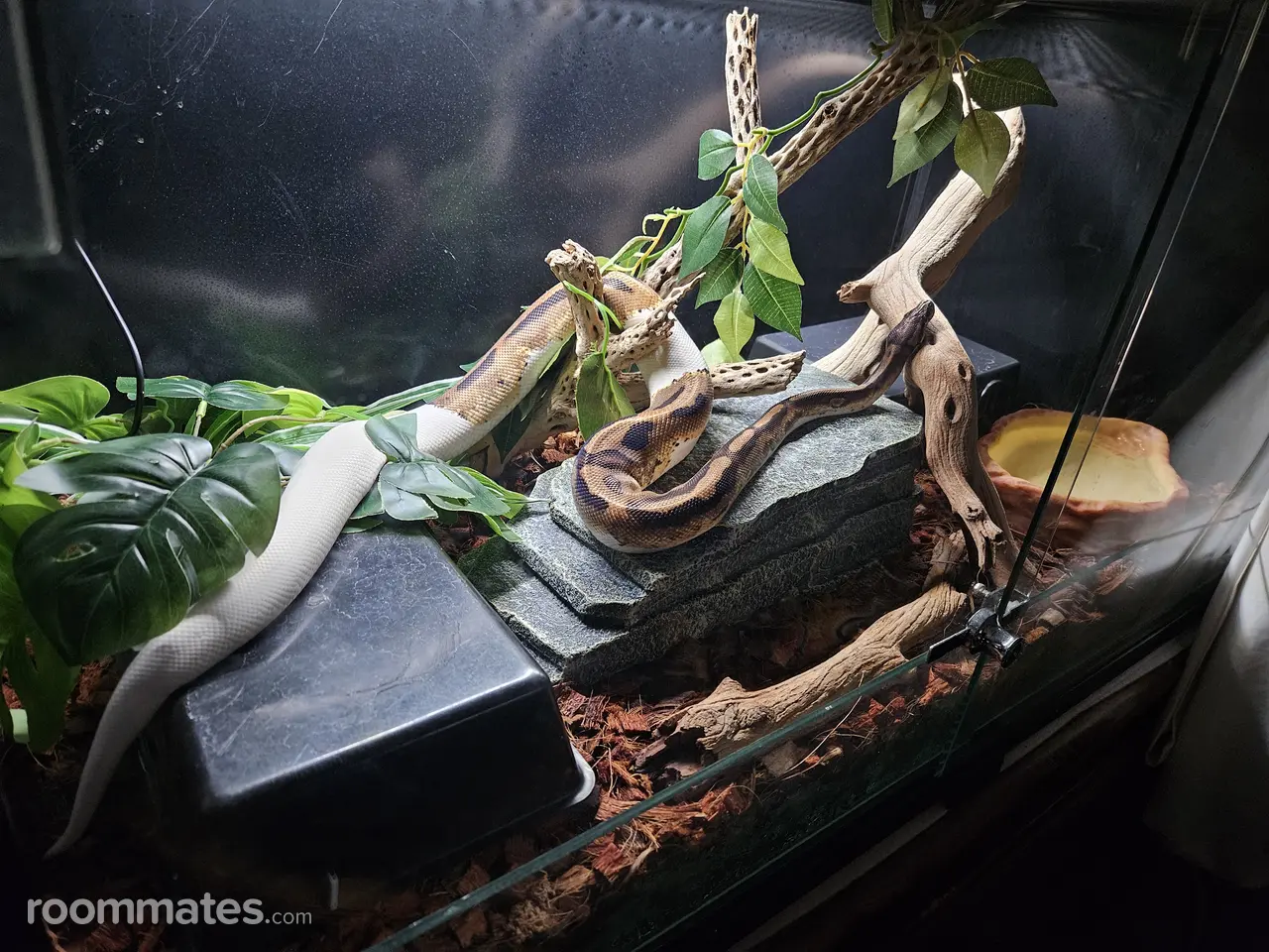 Profile photo 7 of 7