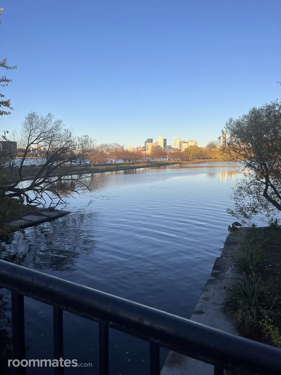 Profile photo 1 of 1