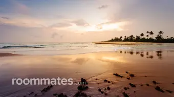 Roommate looking Ephrata, PA, $900