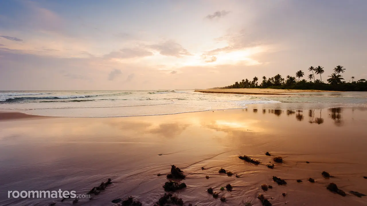 Profile photo 1 of 1