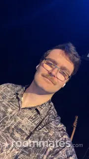 Roommate looking Indianapolis, IN, $800