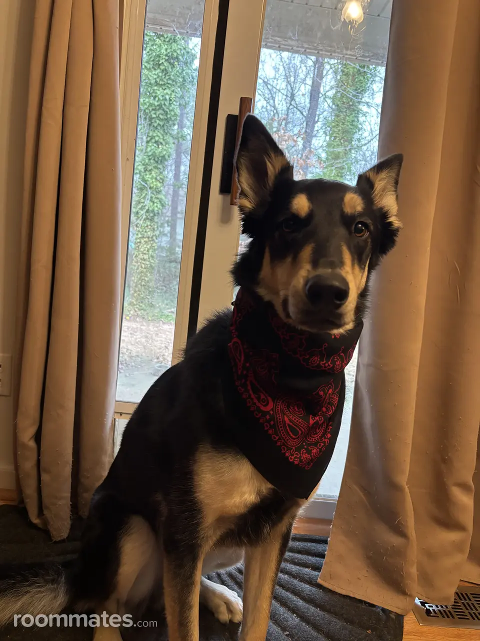 Profile photo 2 of 2