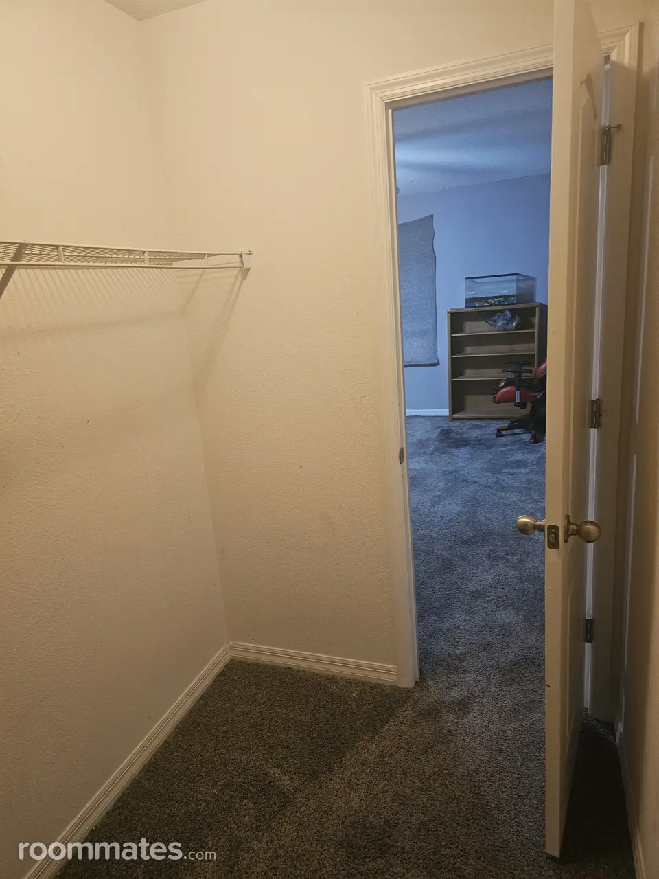 Profile photo 3 of 7