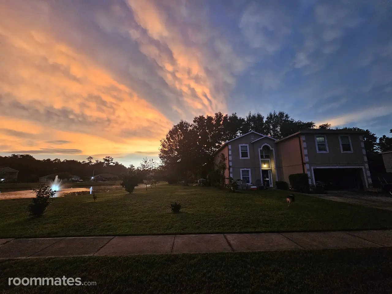 Profile photo 7 of 7