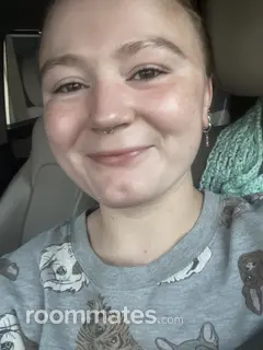 Roommate looking Daytona Beach, FL, $400