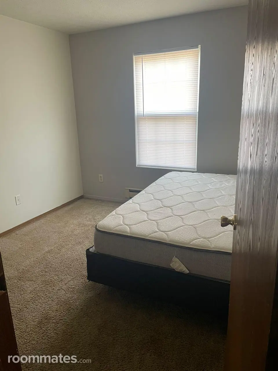 Profile photo 3 of 4