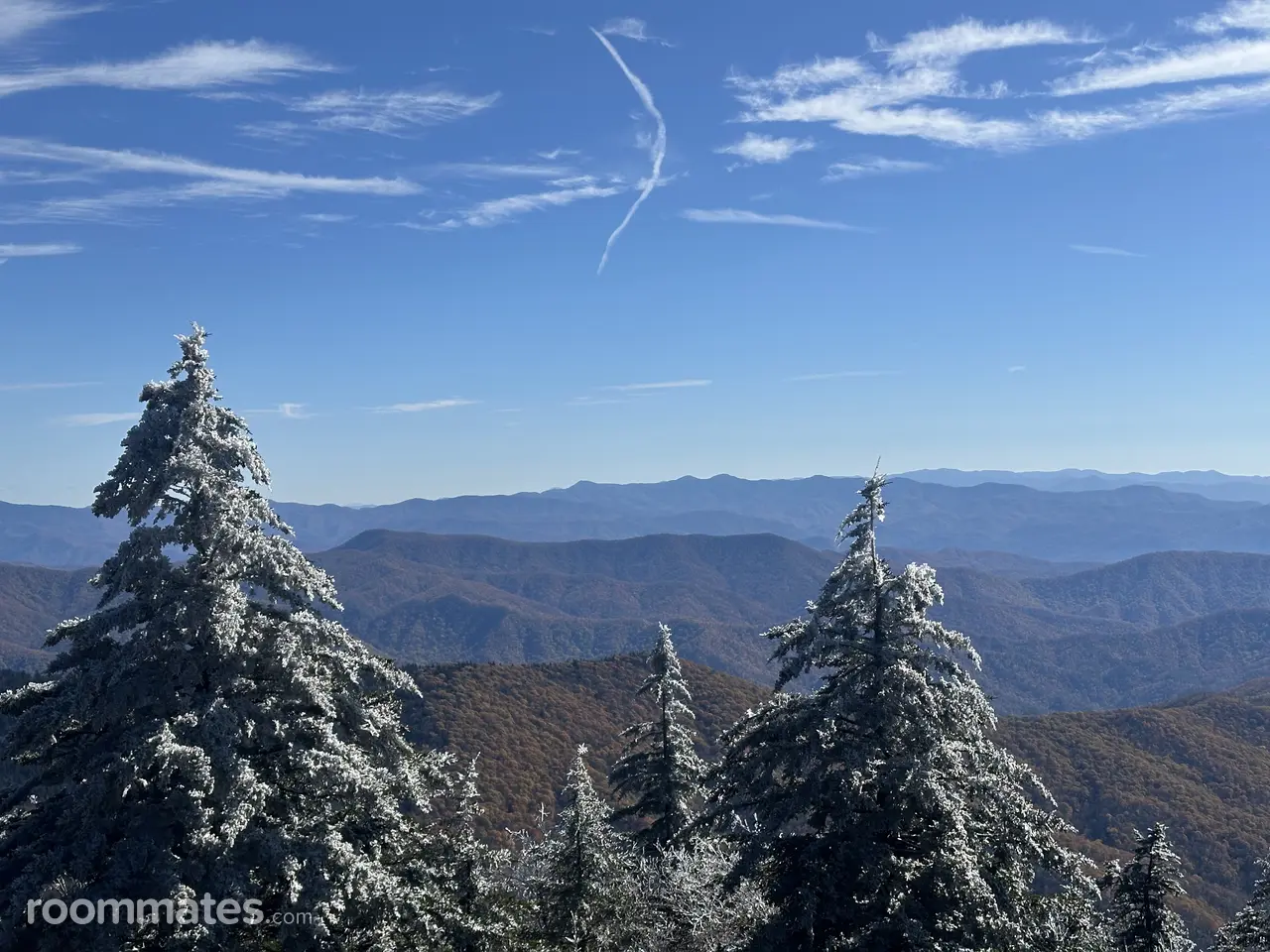 Profile photo 4 of 4