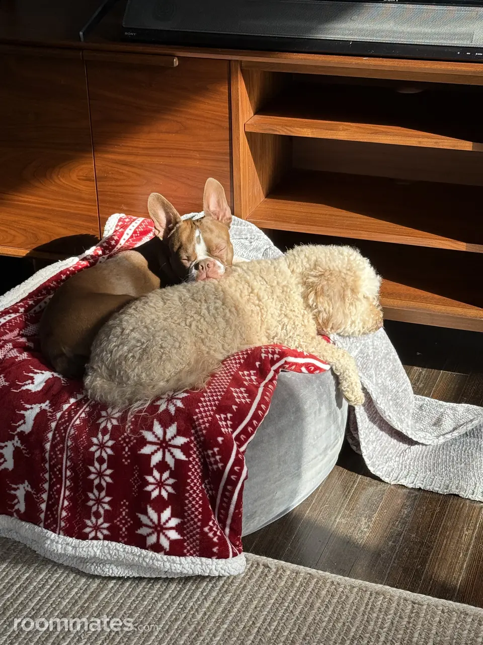 Profile photo 11 of 13