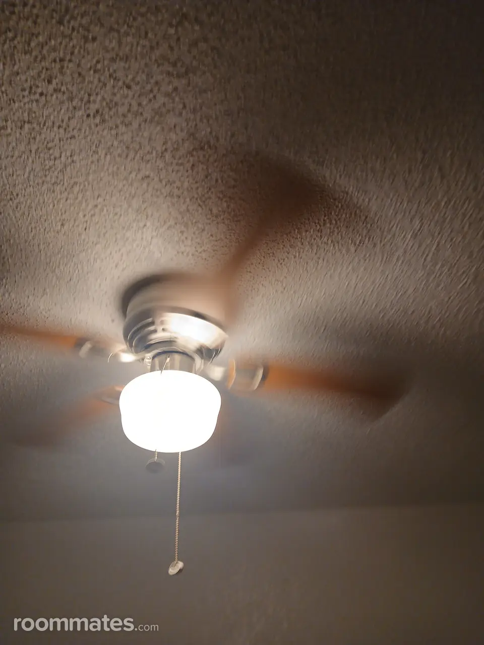 Profile photo 4 of 6