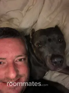 Roommate looking San Antonio, TX, $1000