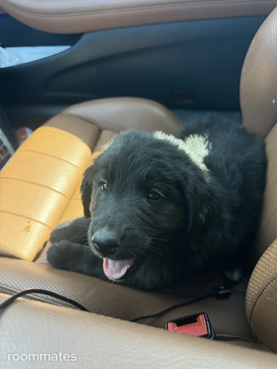 Profile photo 6 of 8