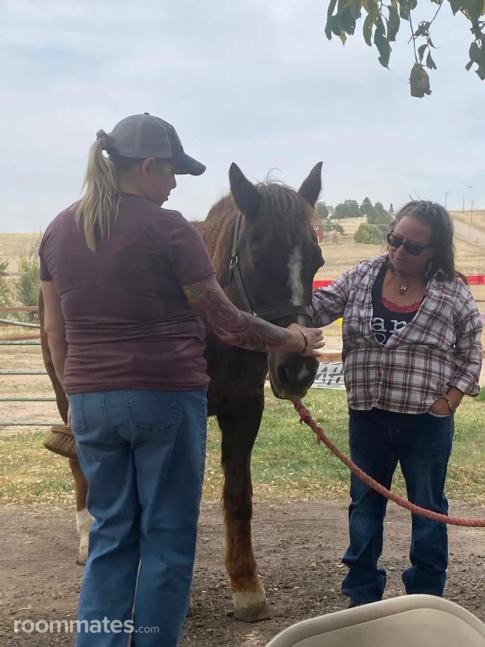 Profile photo 5 of 10