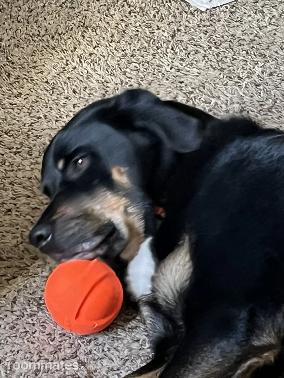 Profile photo 9 of 10