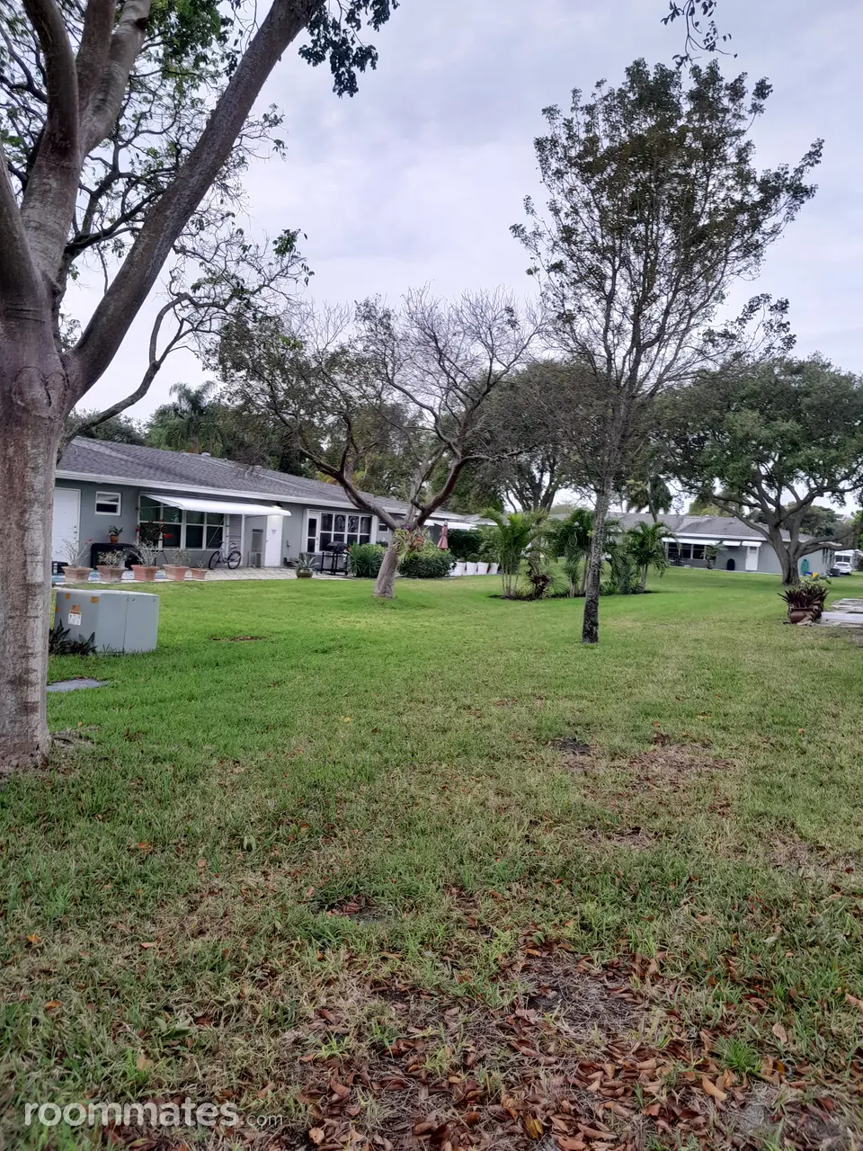 Profile photo 10 of 11