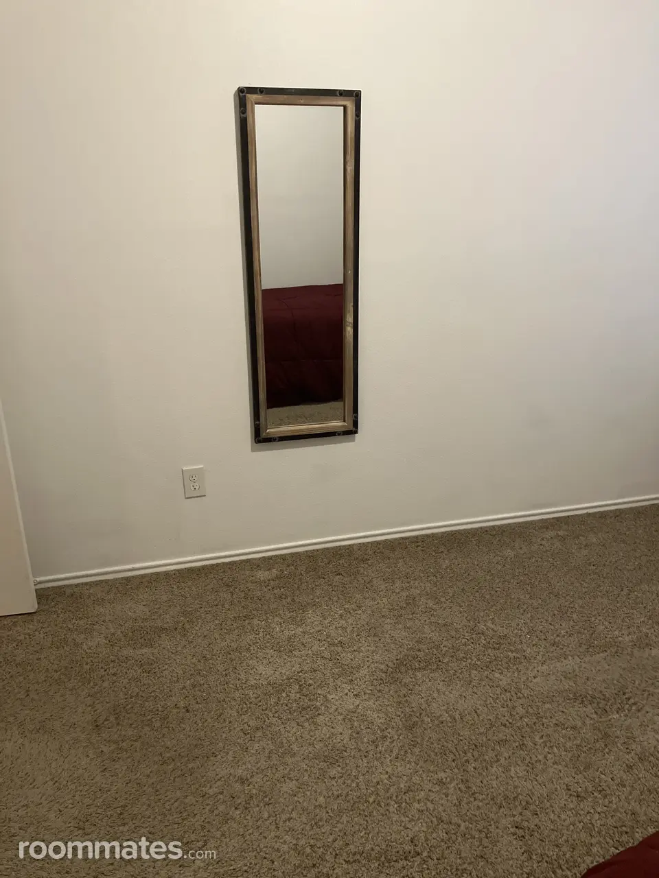 Profile photo 10 of 11