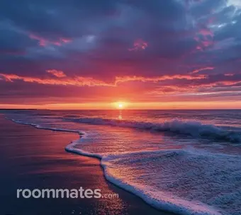 Roommate looking Livermore, CA, $1100