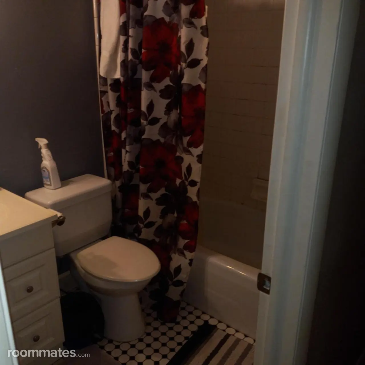 Profile photo 3 of 8