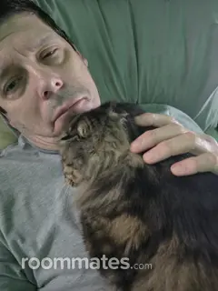 Roommate looking New Britain, CT, $700