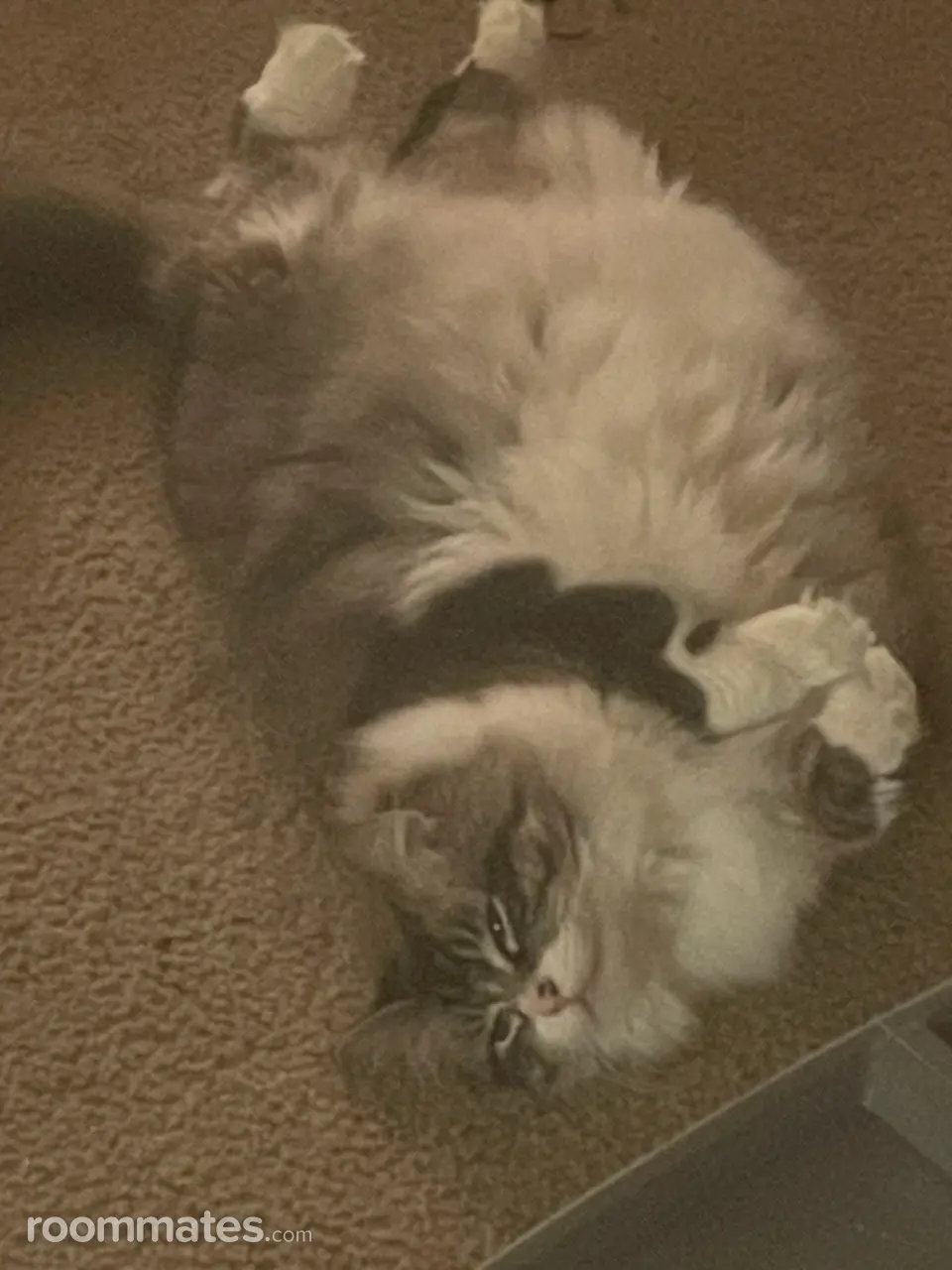 Profile photo 8 of 8