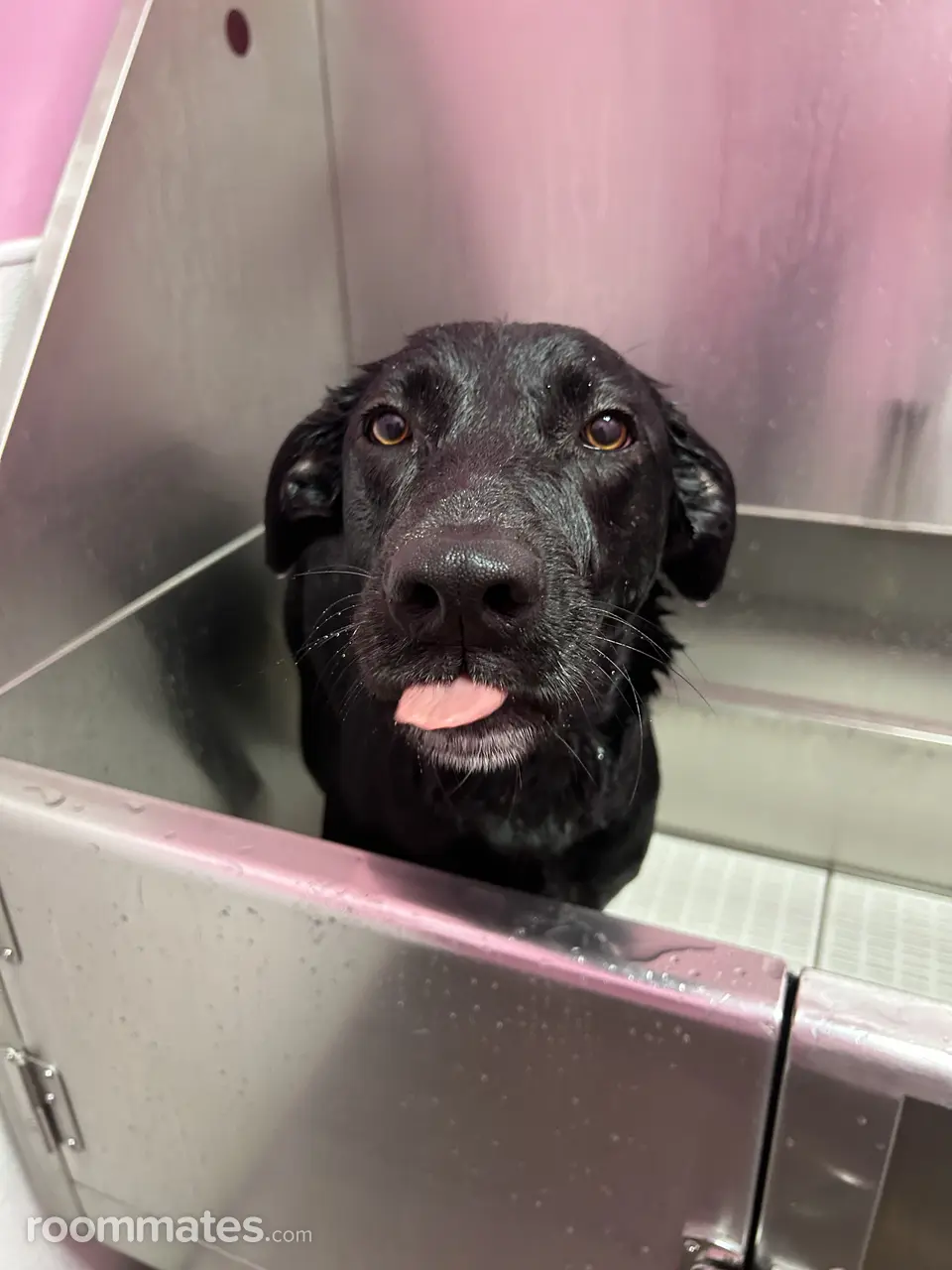 Profile photo 2 of 3