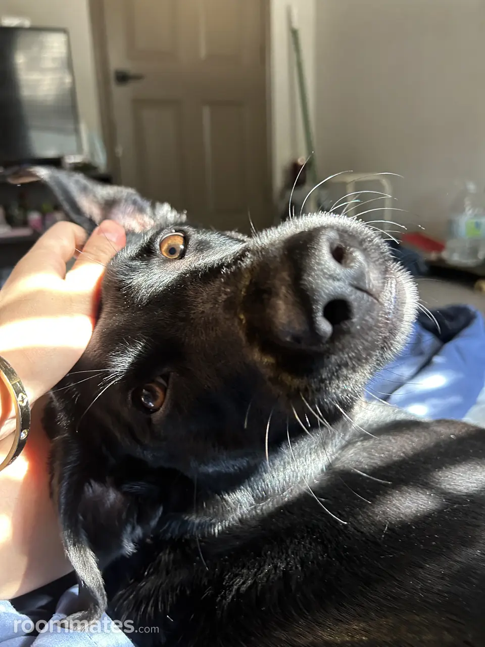 Profile photo 3 of 3