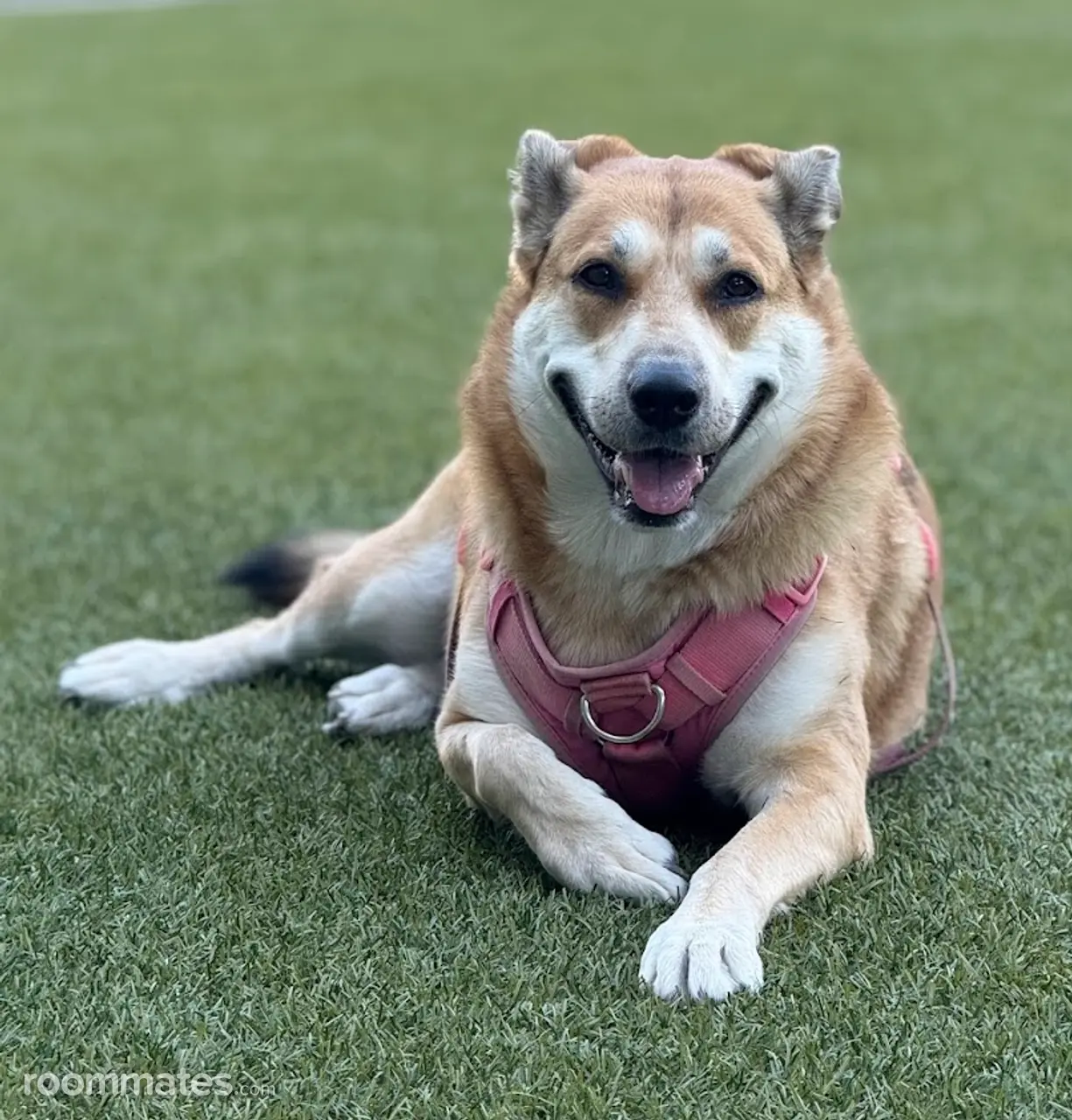 Profile photo 2 of 4