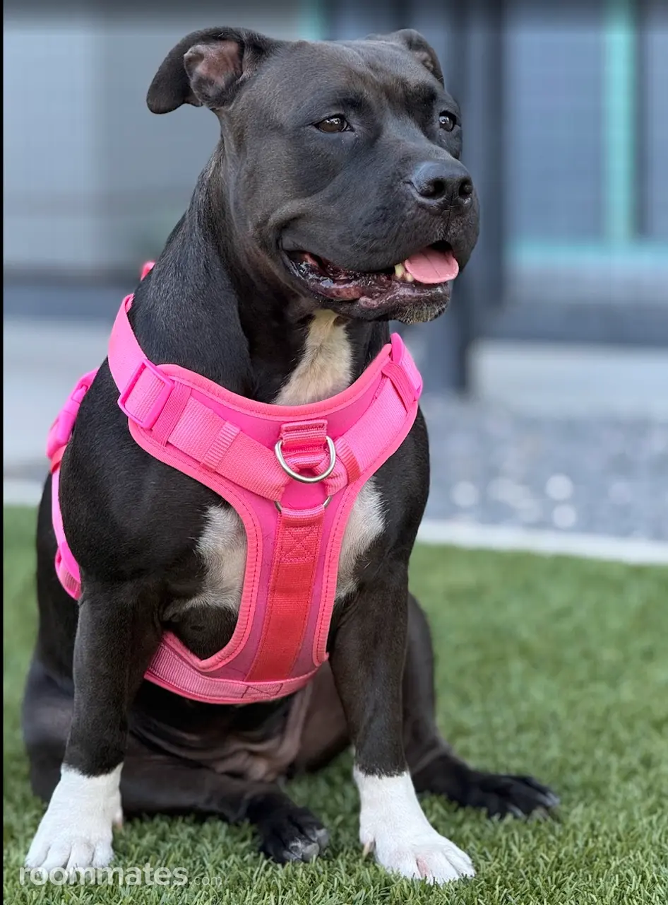 Profile photo 3 of 4