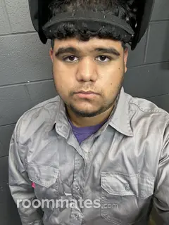 Roommate looking Toledo, OH, $500