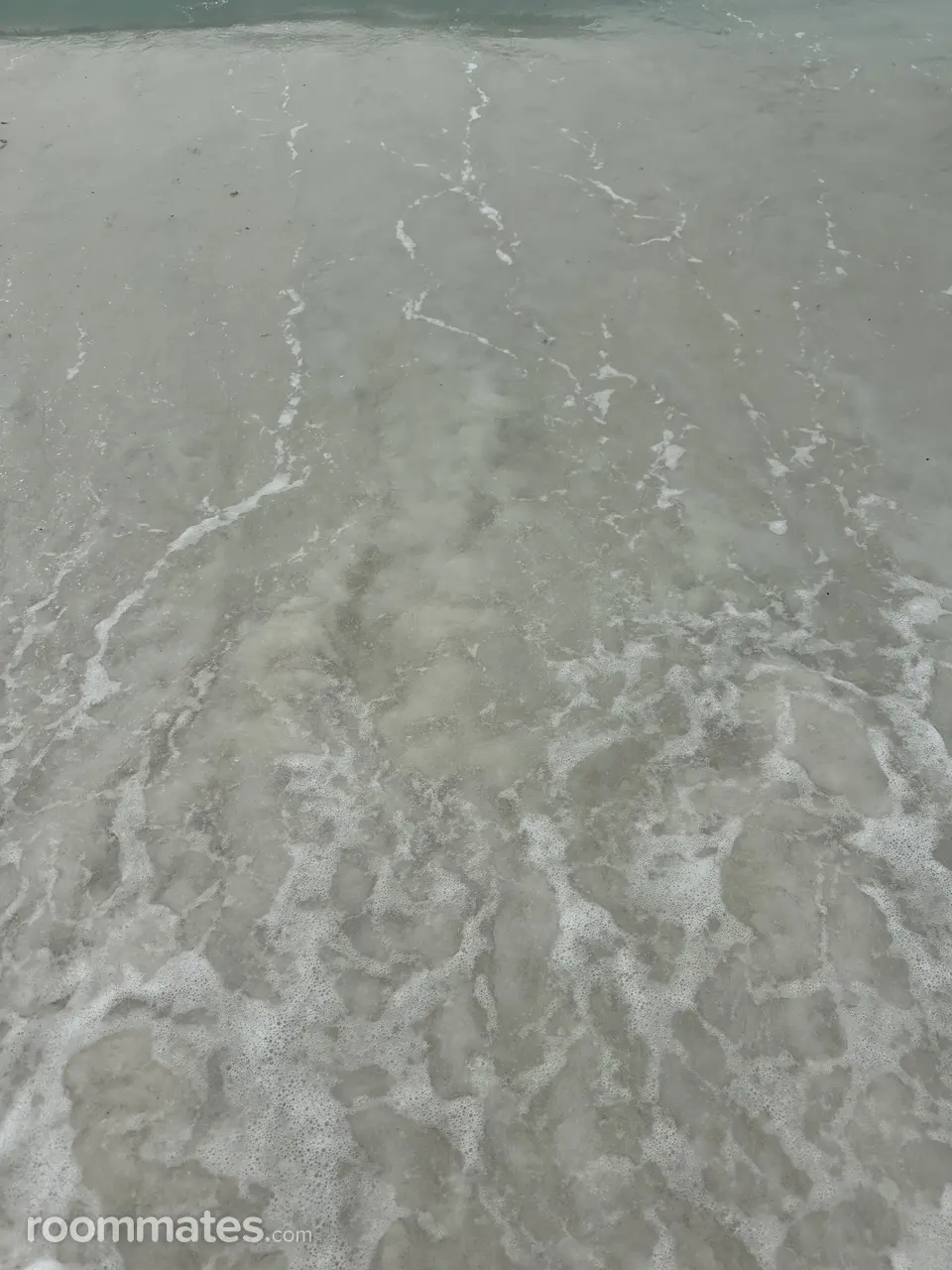 Profile photo 6 of 6