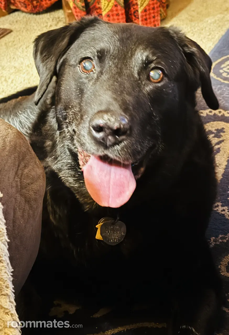 Profile photo 12 of 17