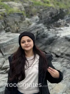 Roommate looking Plano TX, $2000