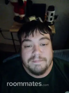 Roommate looking Cleveland, OH, $700