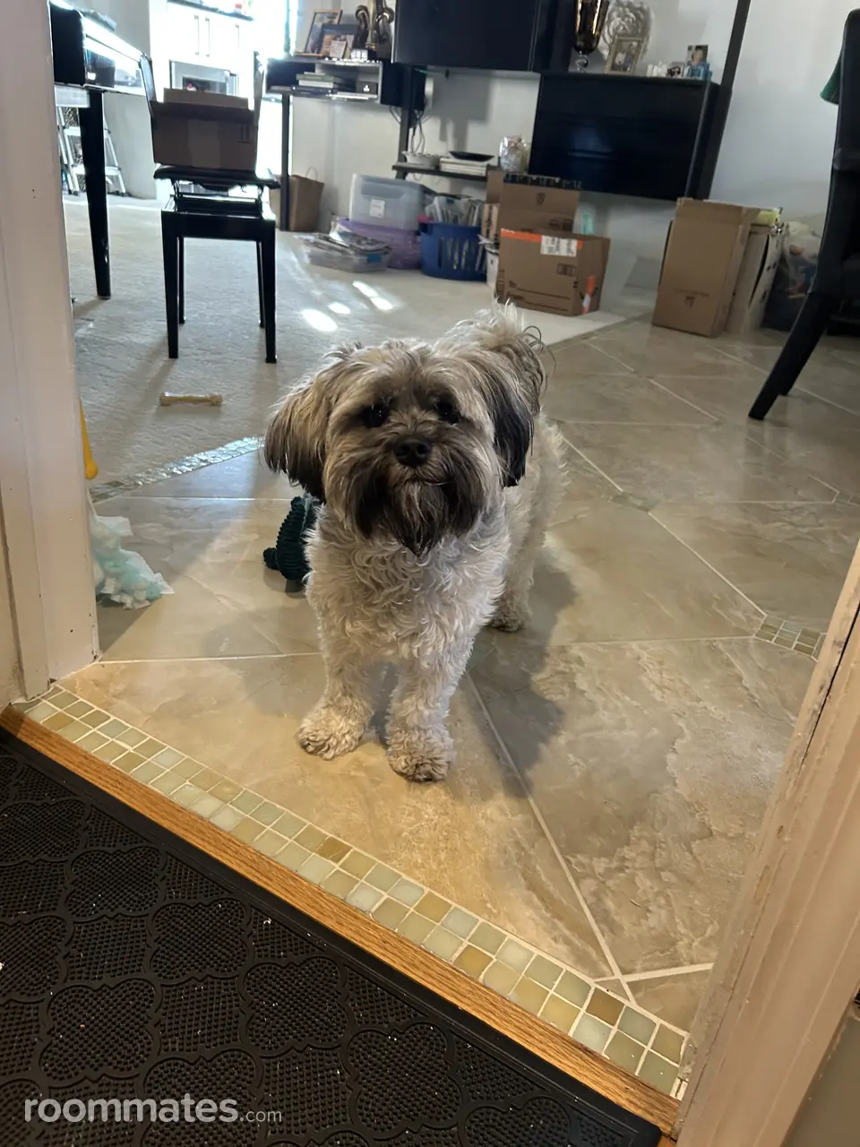 Profile photo 3 of 7