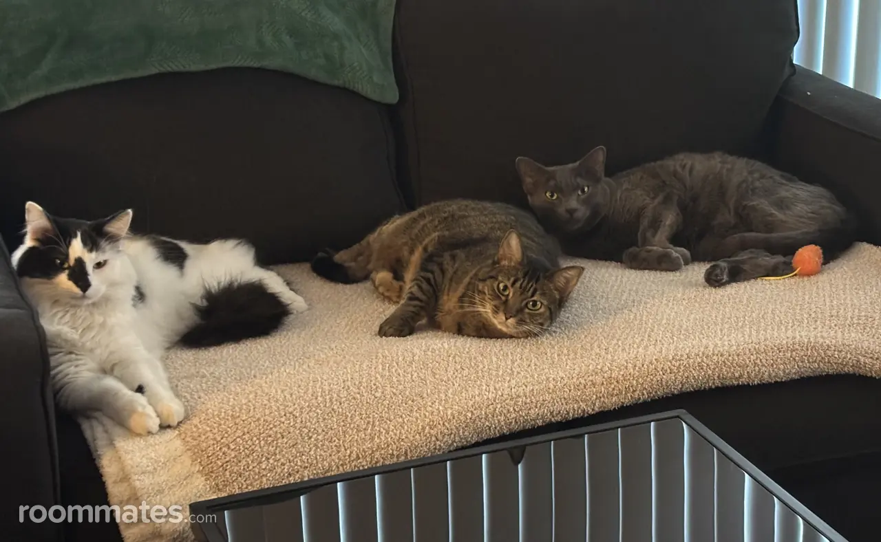 Profile photo 2 of 5