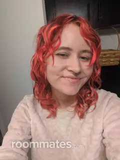 Roommate looking Reno, NV, $800