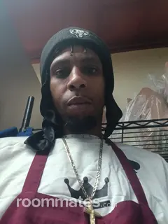 Roommate looking Madison, WI, $800