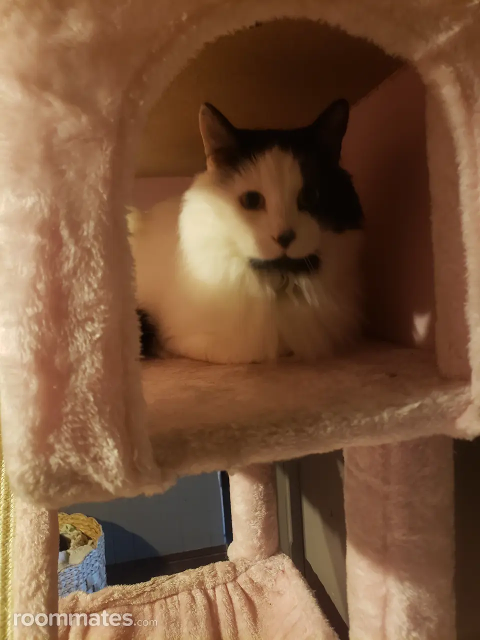 Profile photo 3 of 3