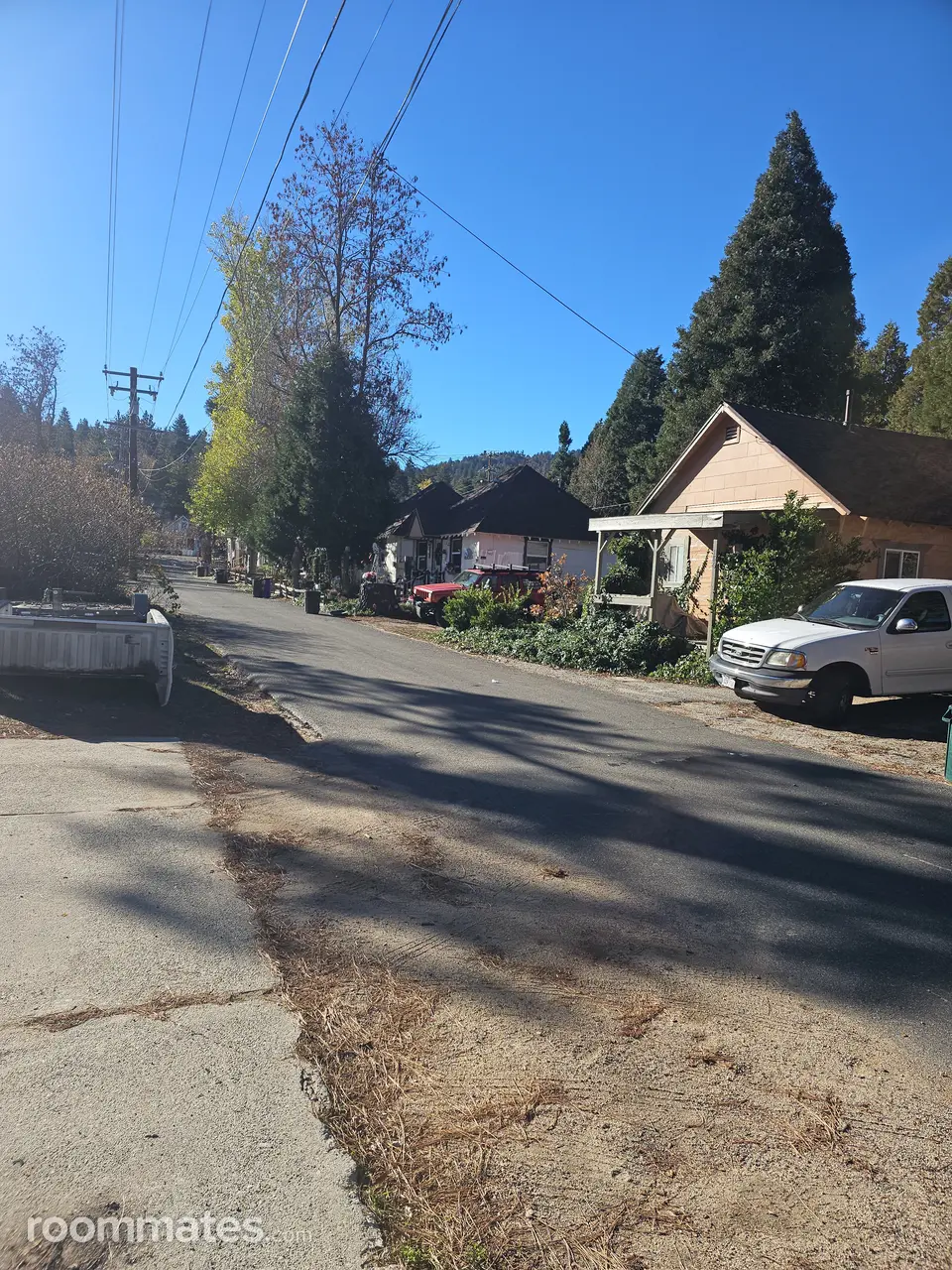 Profile photo 8 of 20